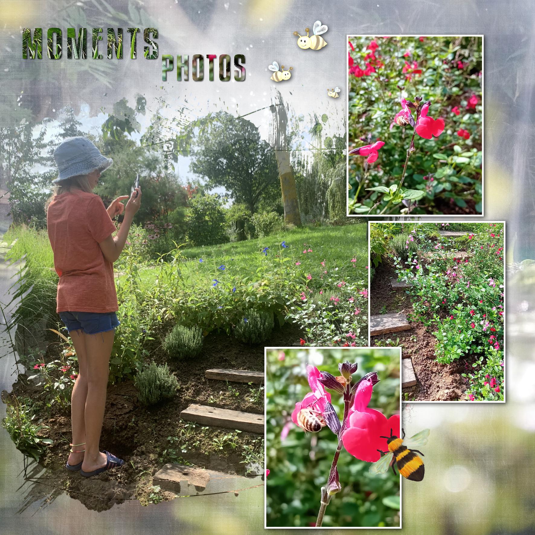 gros plan guêpe.jpg