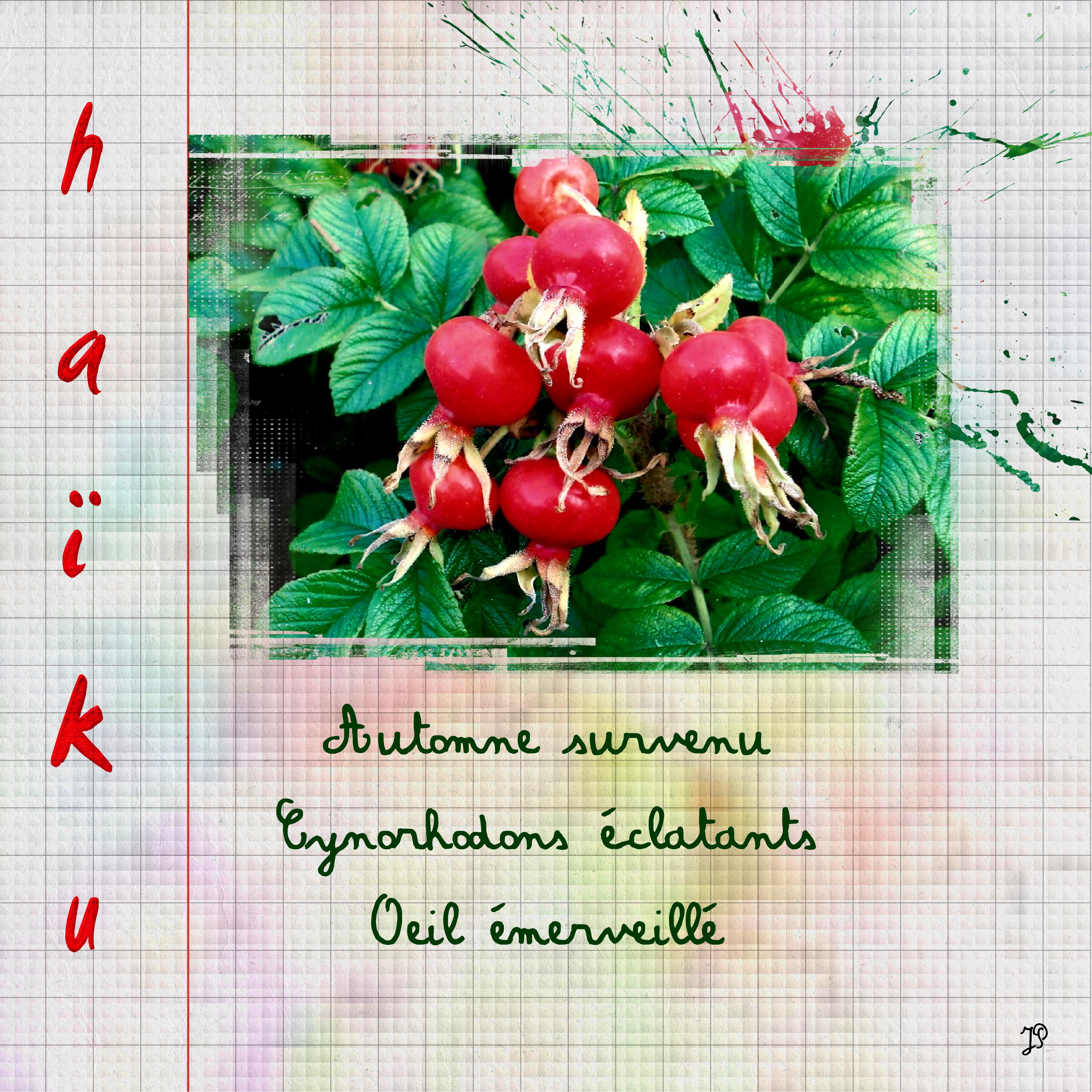 haïku au jardin en automne.jpg