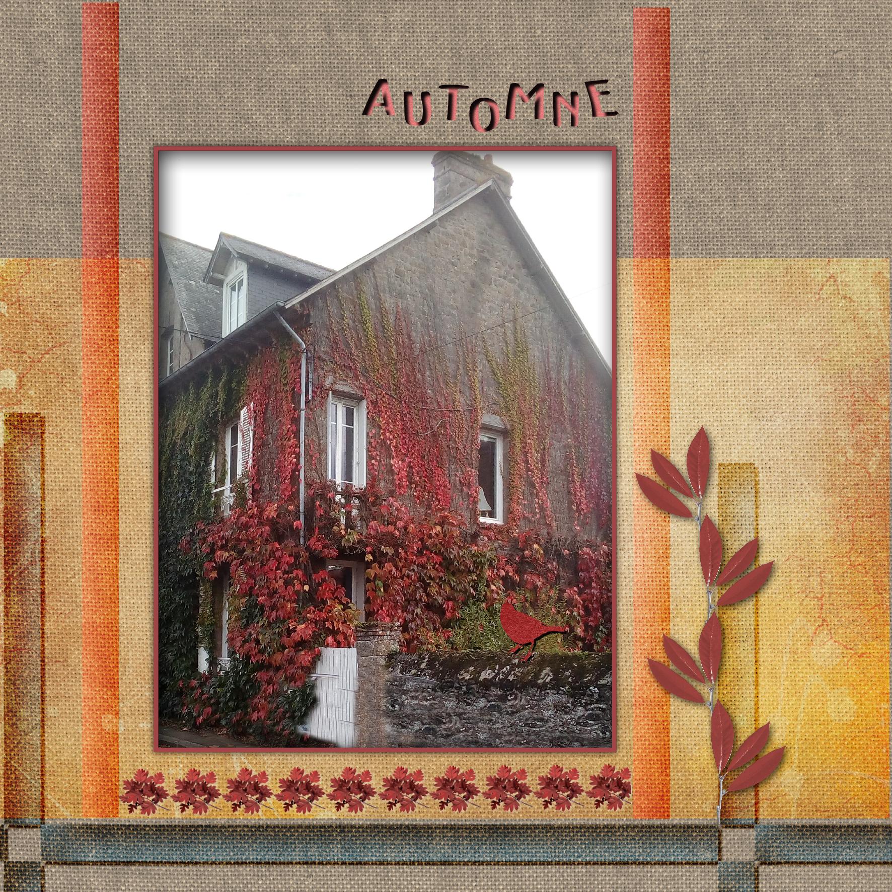 Habillage d'automne.jpg