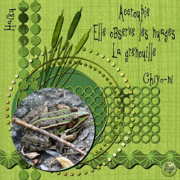 Haiku 07 Grenouille