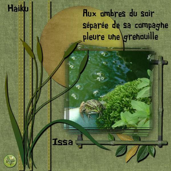 Haiku Grenouille 03