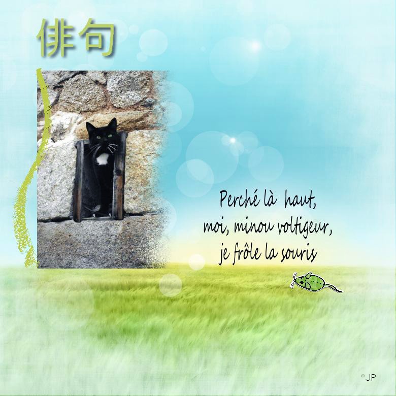 haiku minou.jpg