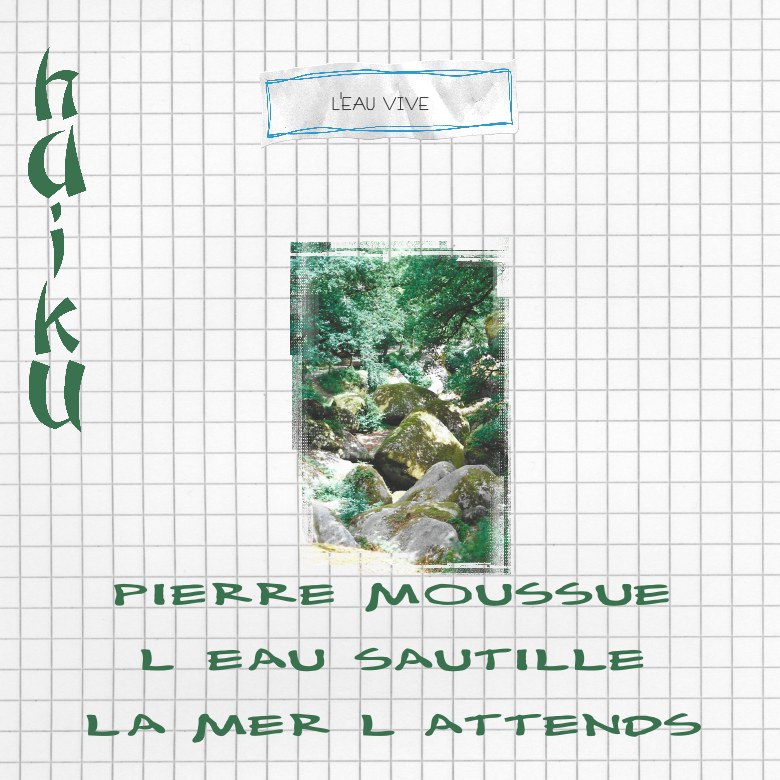 haiku nocturnes ☺