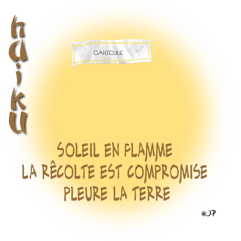 haiku nocturnes ☺