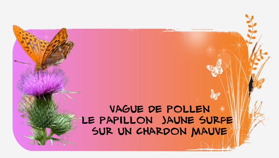 haiku vague.jpg