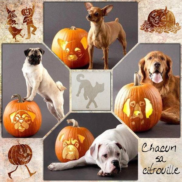 Halloween_22