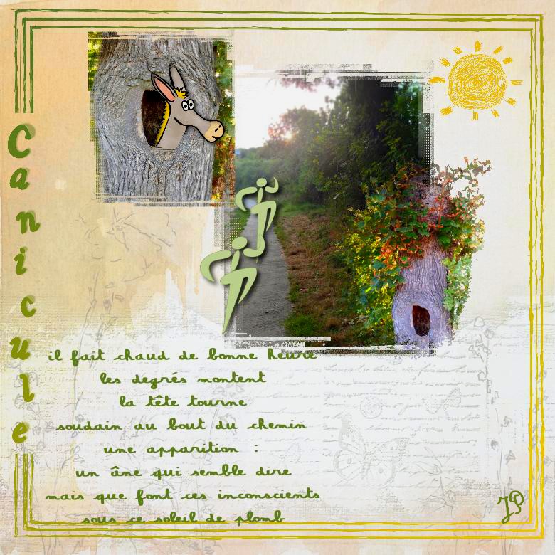 hallucinations caniculaires.jpg