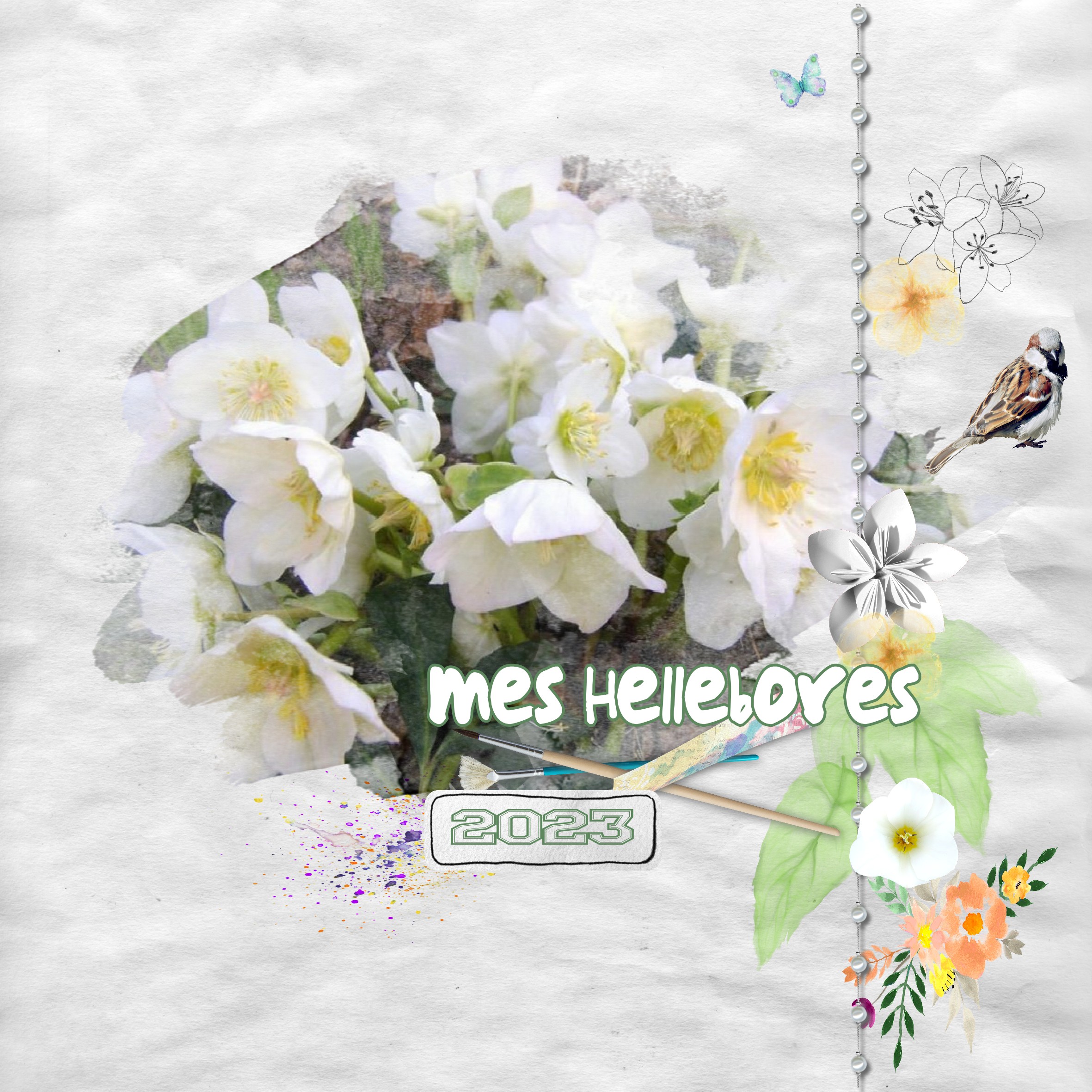 hellebores.jpg