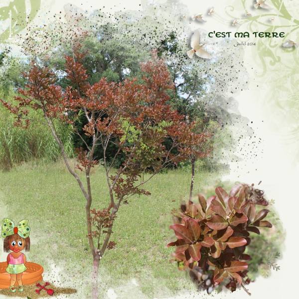 Help !! Connaissez vous le nom