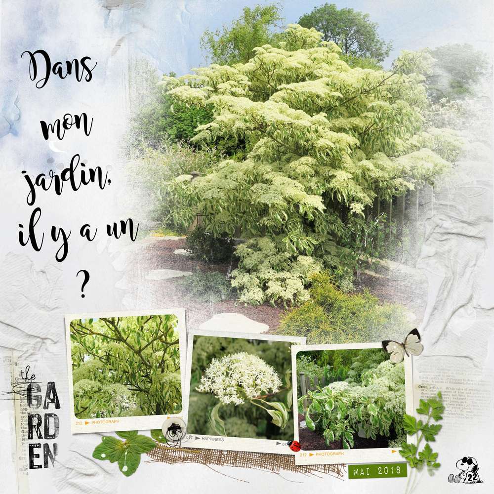 Help ! Dans mon jardin...