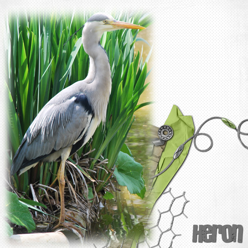 Héron...