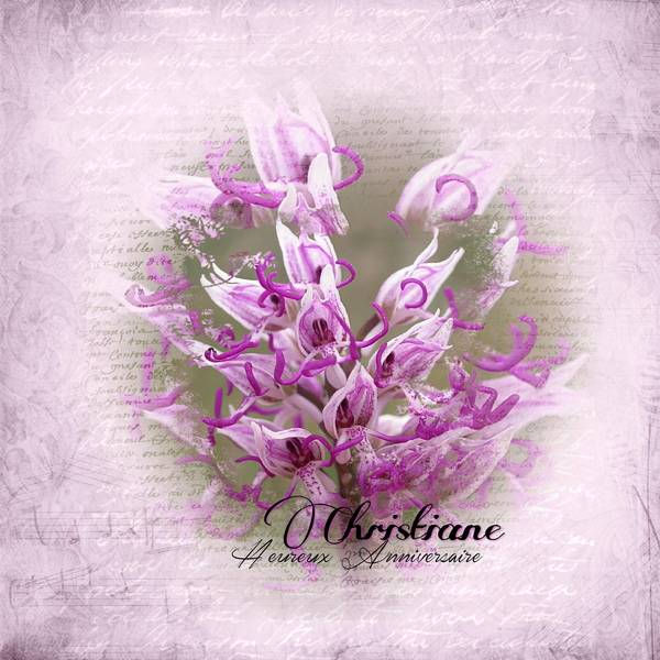 Heureux Anniversaire BURLOUX