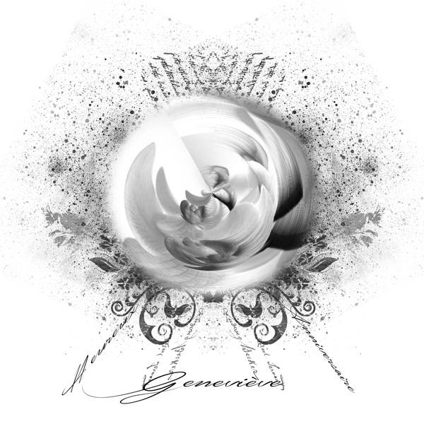 Heureux Anniversaire Geneviève