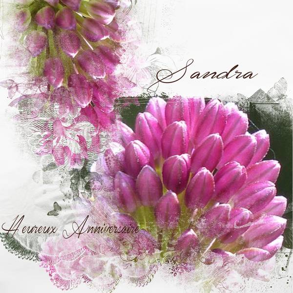 Heureux Anniversaire Sandra Petiote