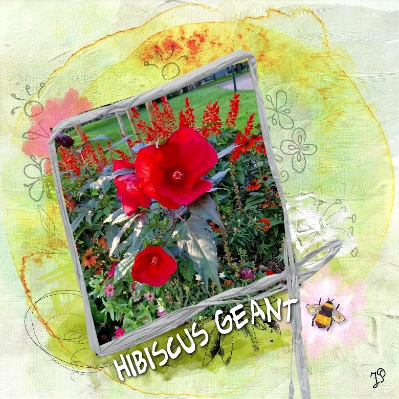 hibiscus geant scrap.jpg