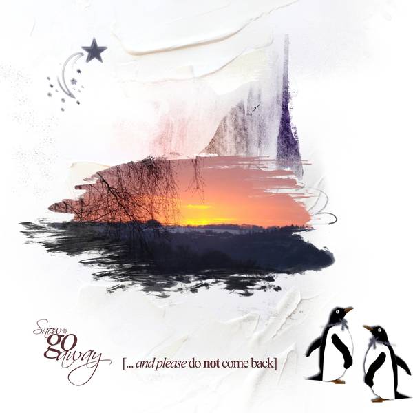 Hier soir ... dans mon jardin !