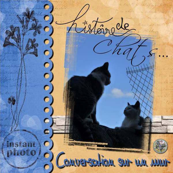 Histoire de Chats 01