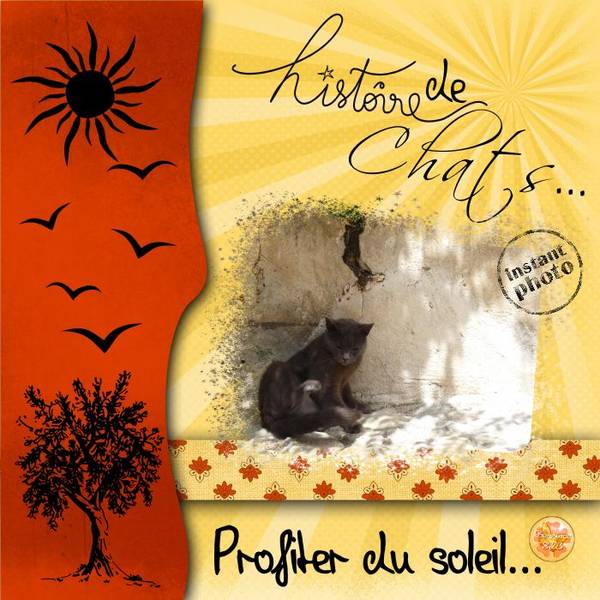 Histoire de Chats 12