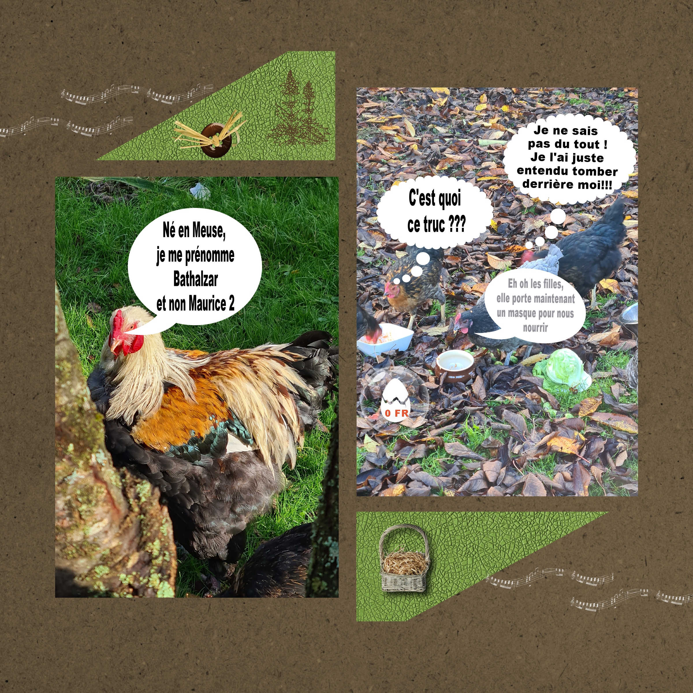 HISTOIRE DE POULES ET DE COQ .jpg