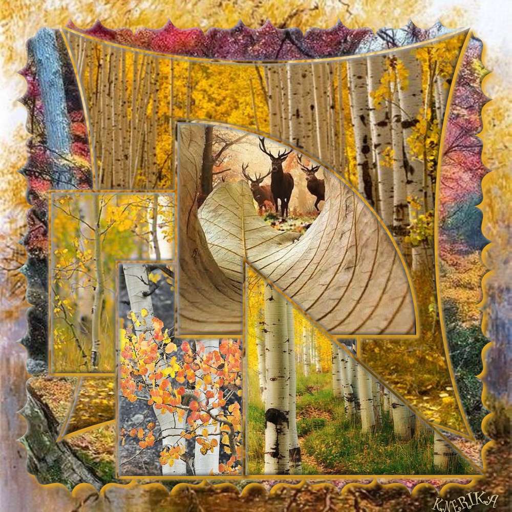 Histoire_de_feuilles_du_23-10-19_OK