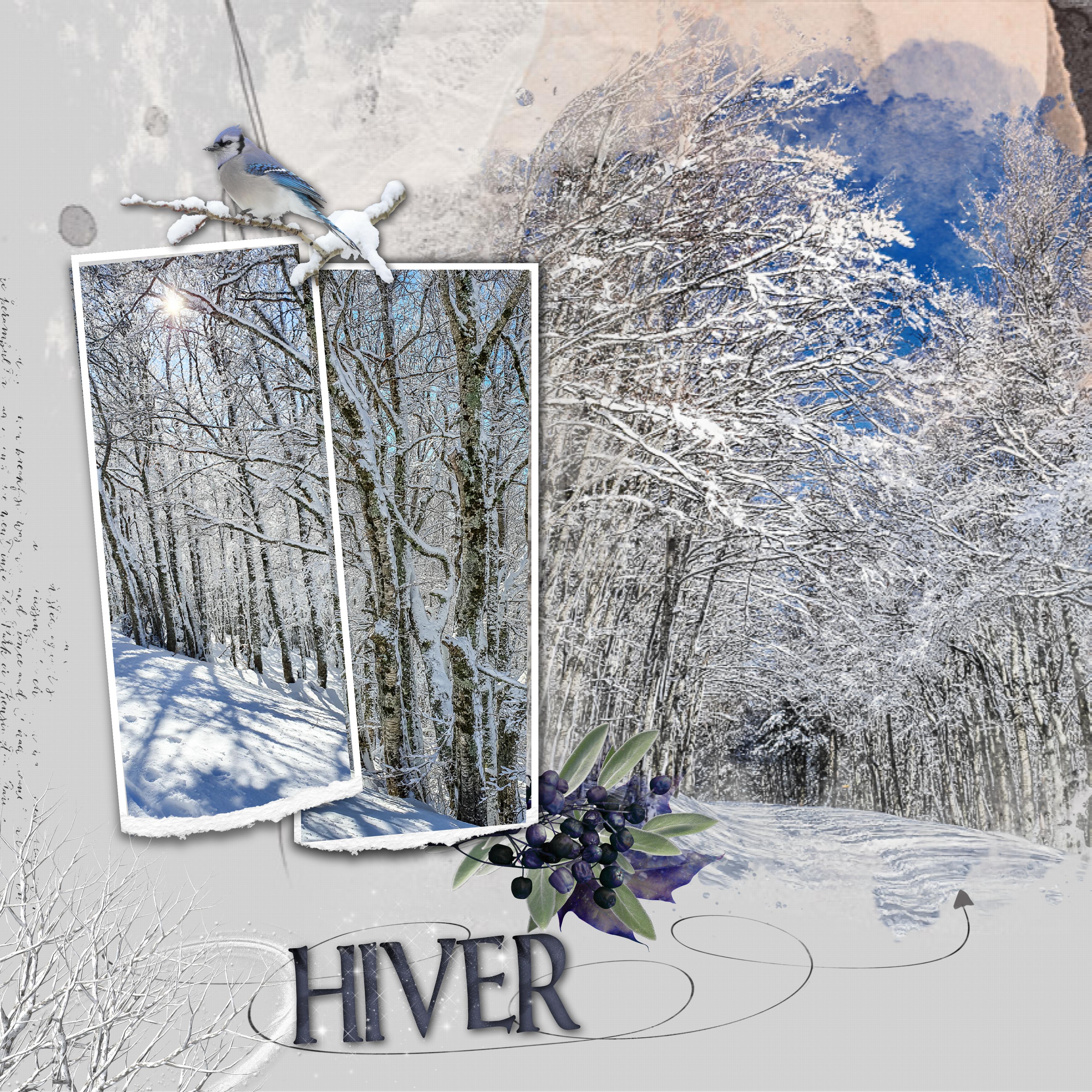 hiver.jpg