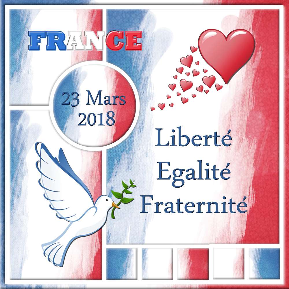 HOMMAGE A ARNAUD BELTRAME - LIEUTENANT-COLONEL DE GENDARMERIE