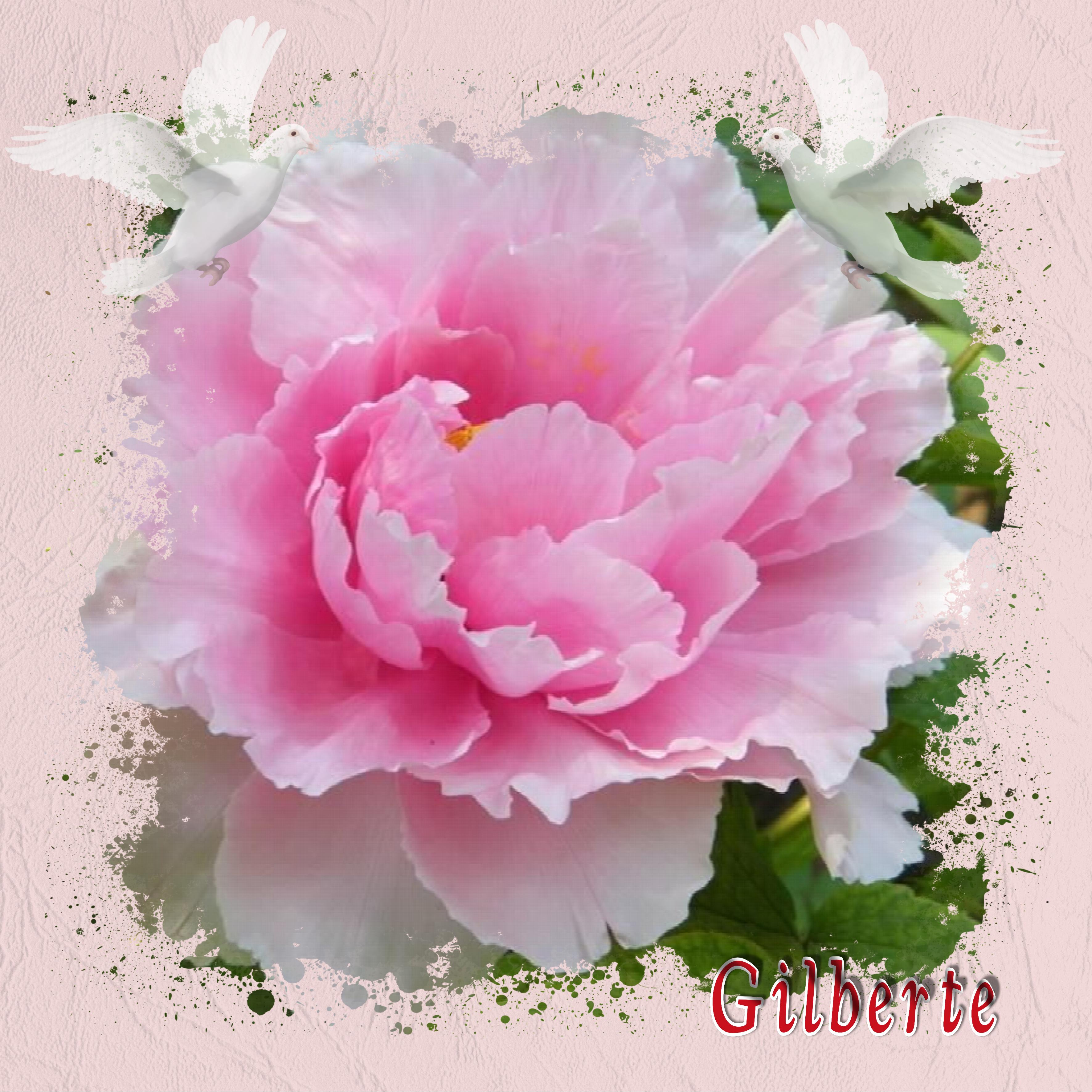 hommage à  gilberte.jpg