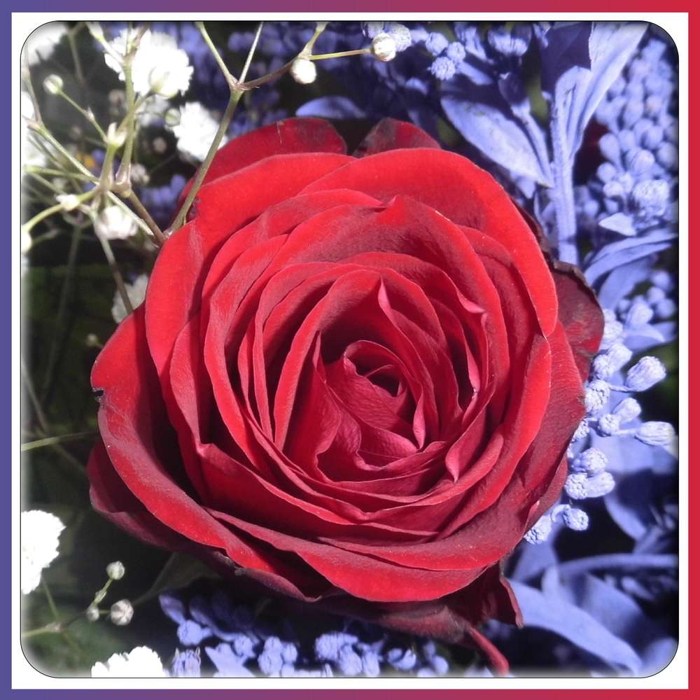 HOMMAGE AU SERGENT JEANNE BOUCHET - 1er SEPTEMBRE 2016