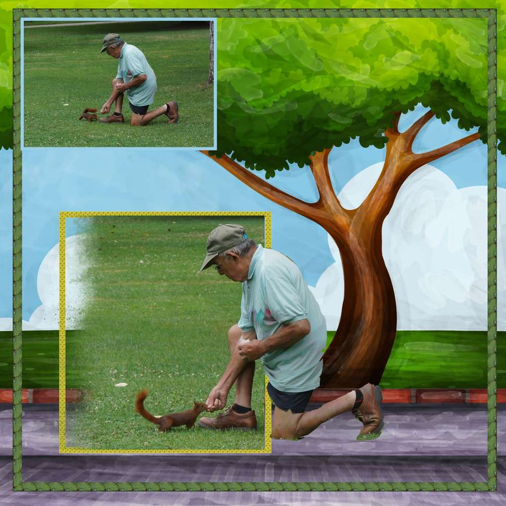 Hors cadre écureuil