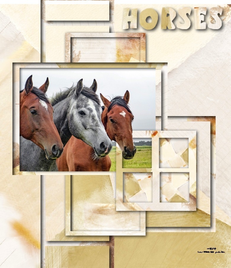 HORSESfaçon loctudymonique.jpg