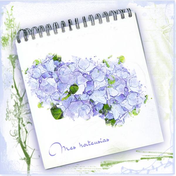 hortensias aquarellisés...