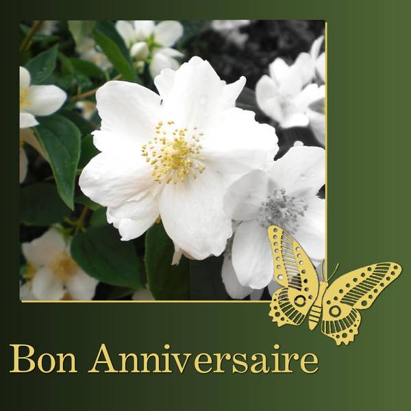 HUGOU - BON ANNIVERSAIRE