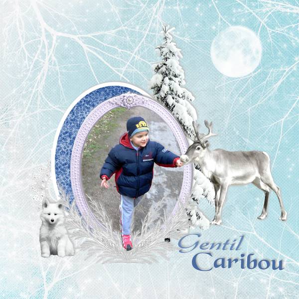 hugou-gentil-caribou
