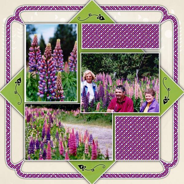 Hugou-Les_Lupins_des_Pyr__n__es