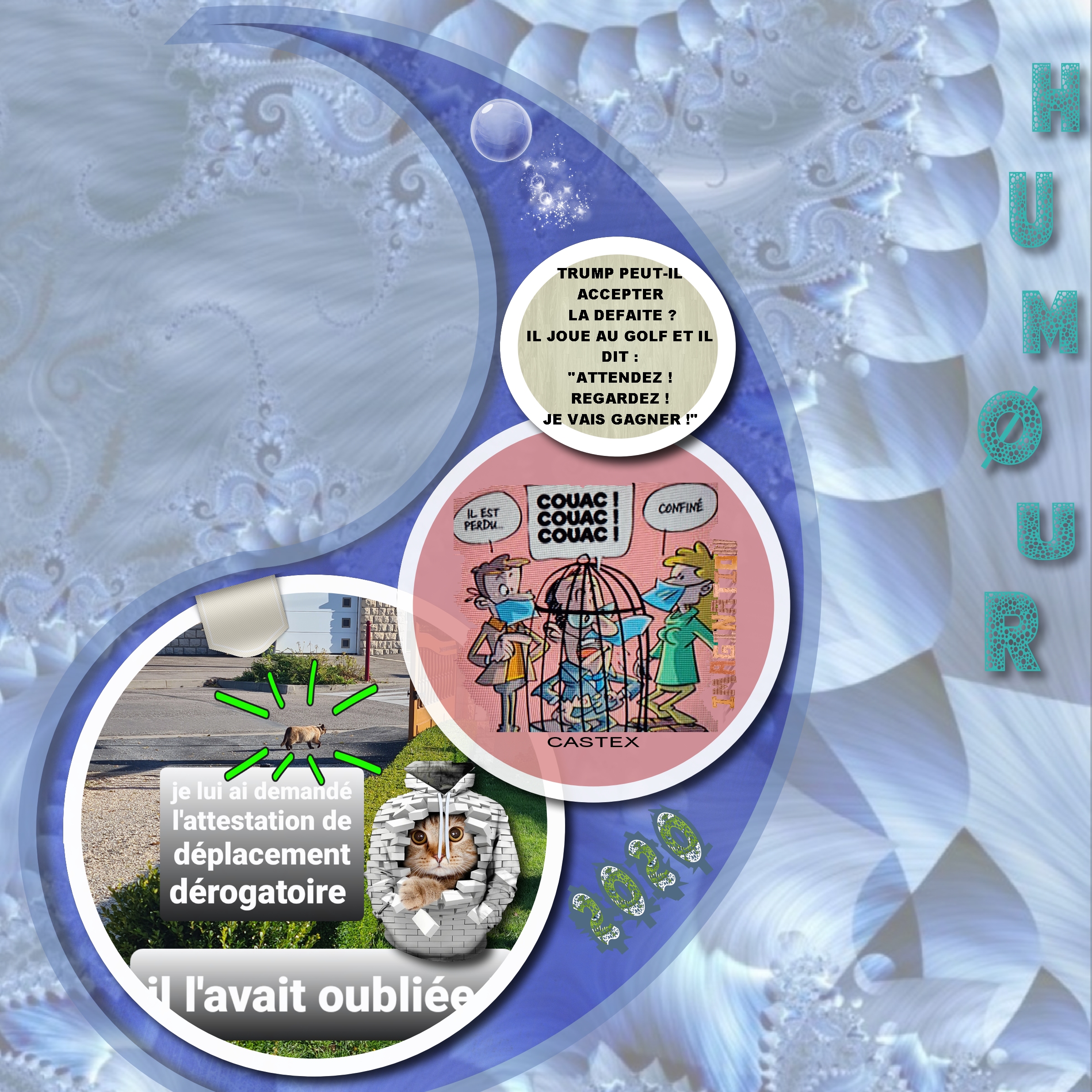 HUMOUR 10.11.2020.jpg