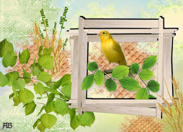 Ici pas de neige ...la canari chante au tue tête