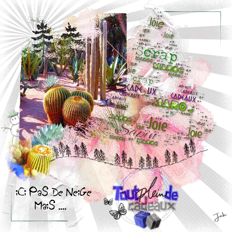 ici pas de neige mais....jpg