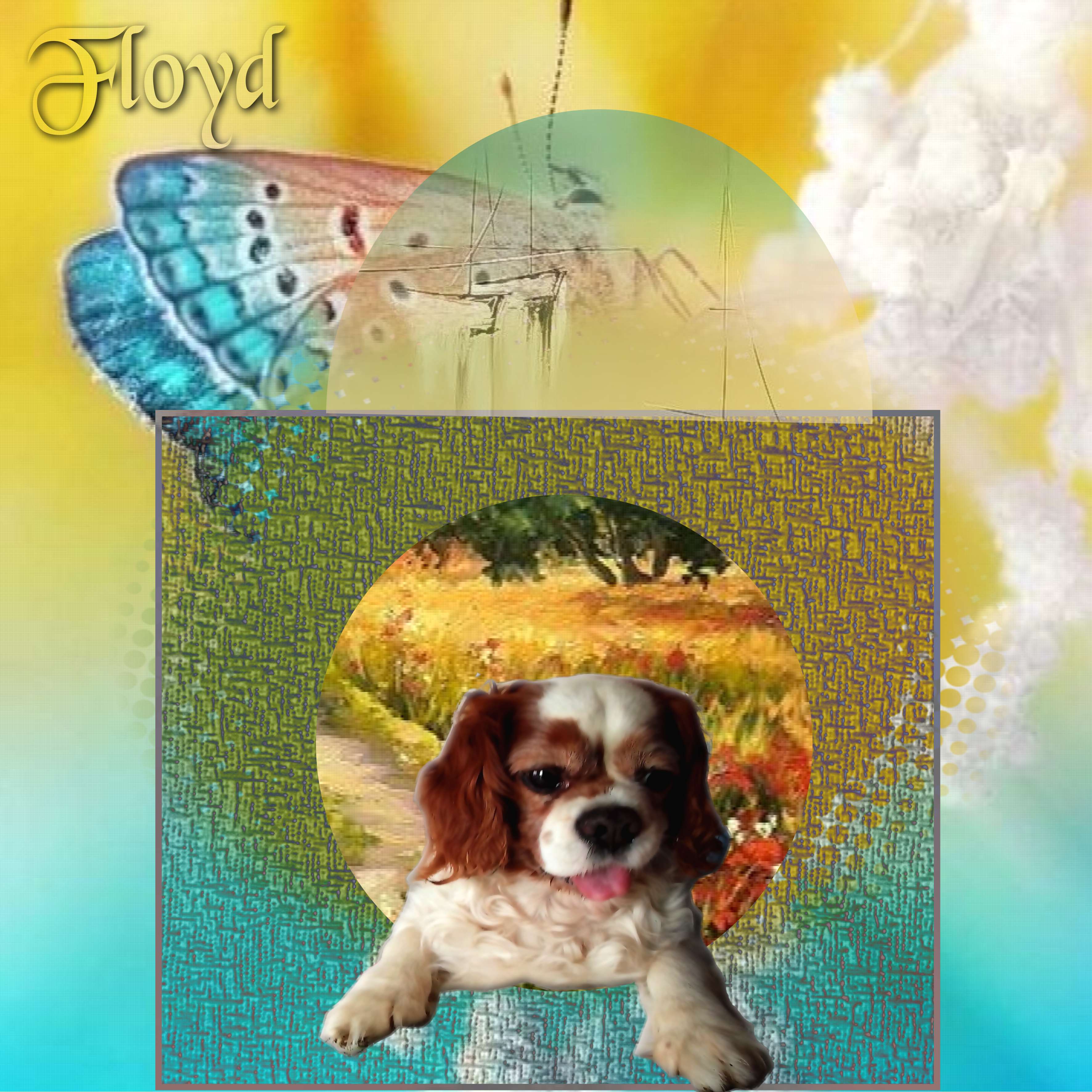 il  arrive  bientot  le  printemps.jpg