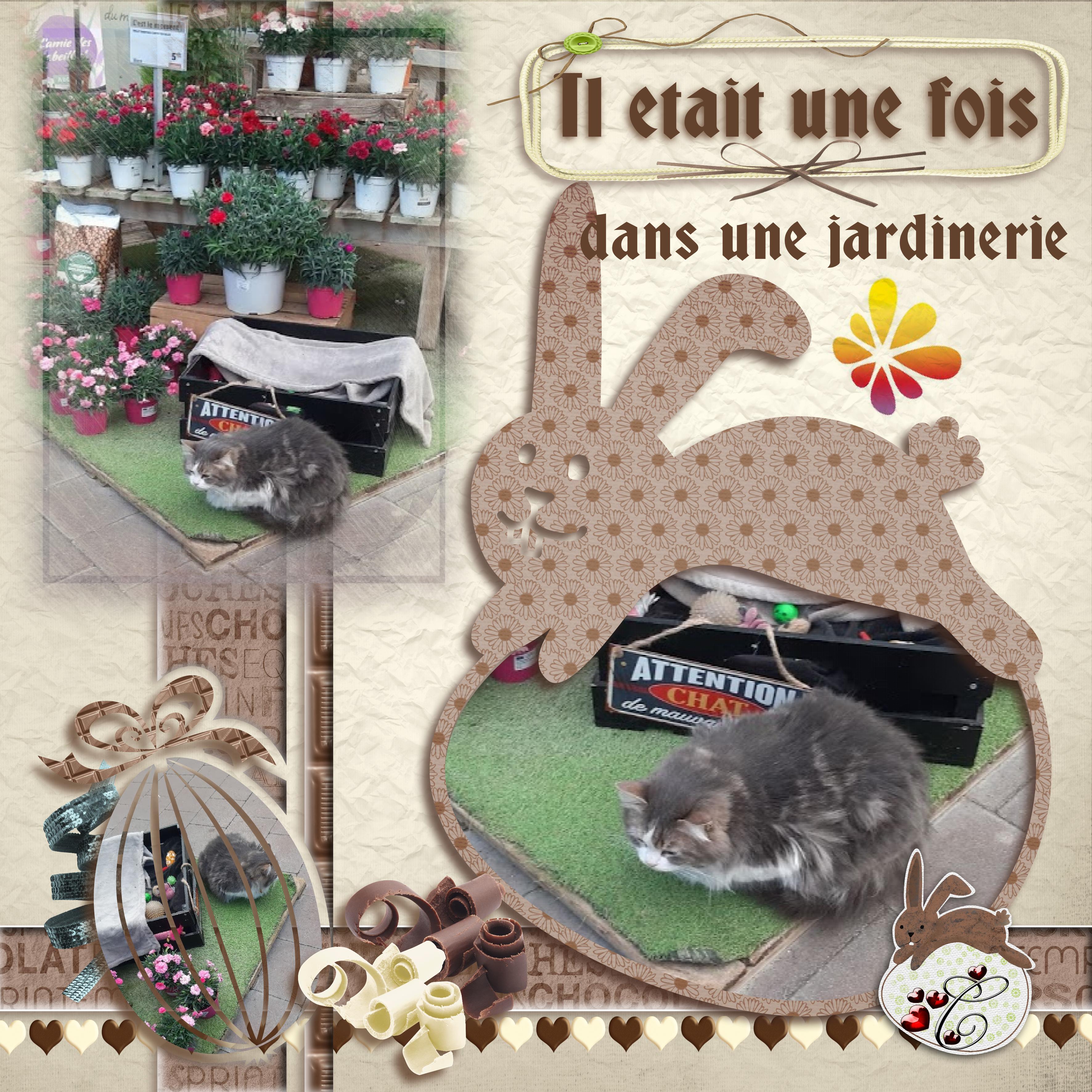 Il était une fois ..... dans une jardinerie de Perpignan