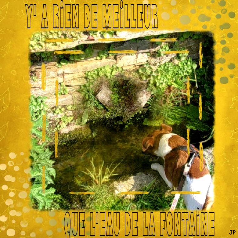 il n y a rien de meilleur.jpg