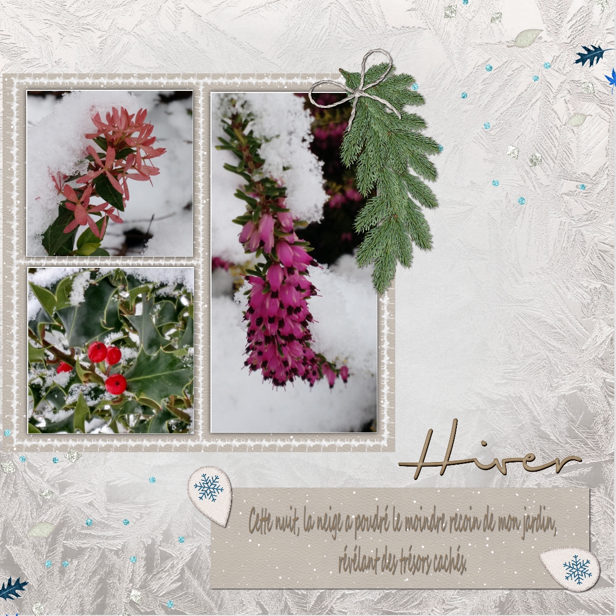 il neige janvier 2021 (page 1).jpg