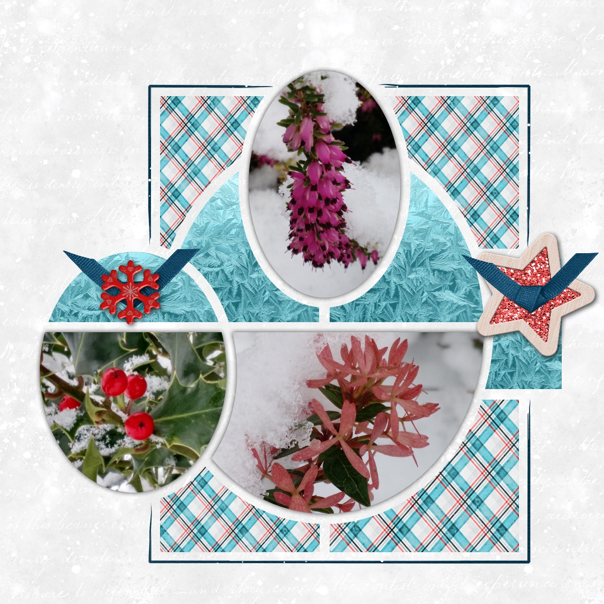 il neige janvier 2021 (page 2).jpg