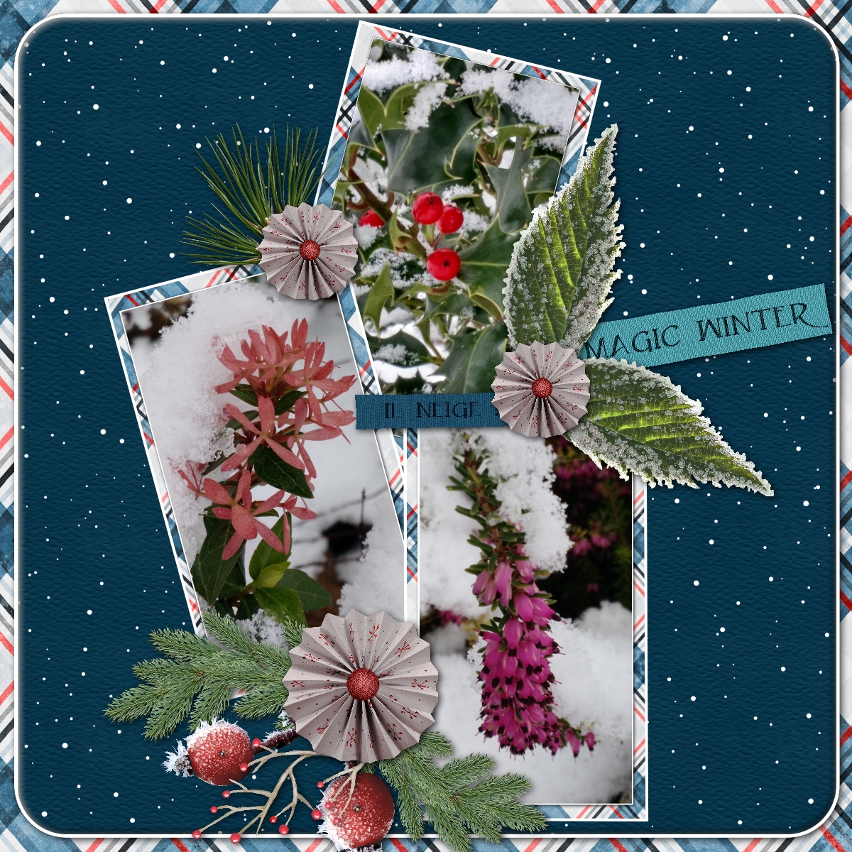 il neige janvier 2021 (page 3).jpg