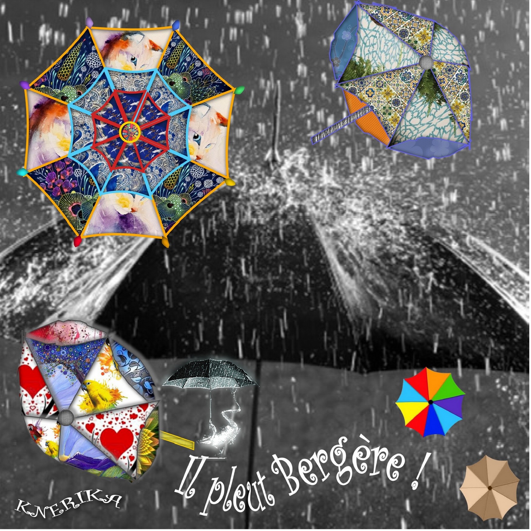 il pleut bergère, Anne Marie.jpg