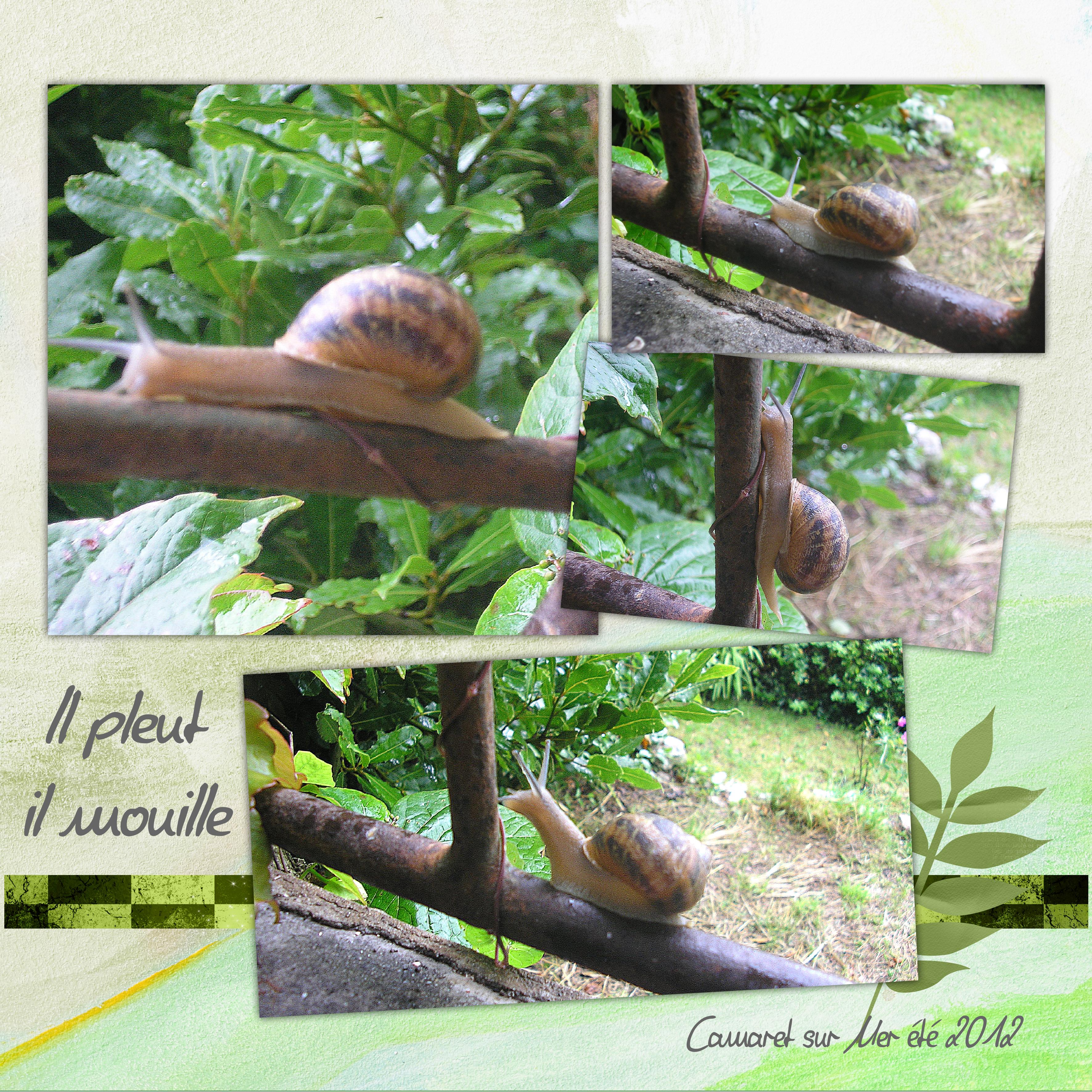 Il pleut il mouille.jpg