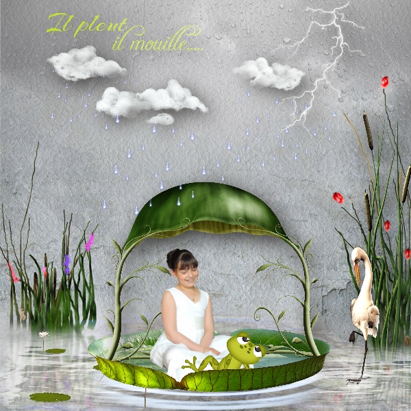 IL_PLEUT_IL_MOUILLE1