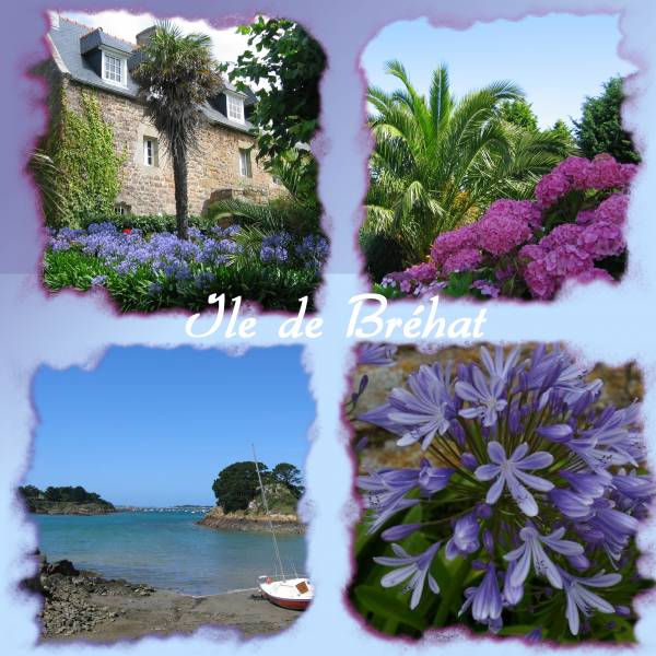 Ile de Bréhat