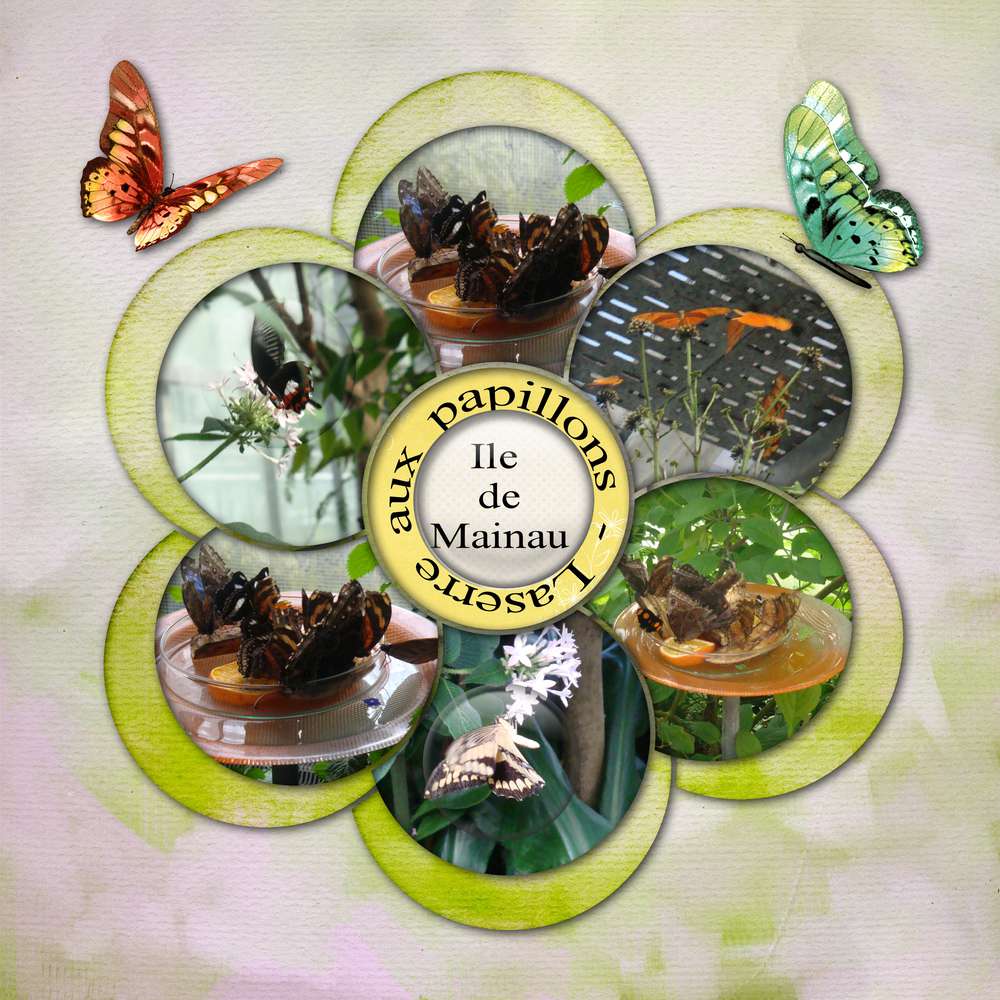 ile_de_Mainau_serre_aux_papillons