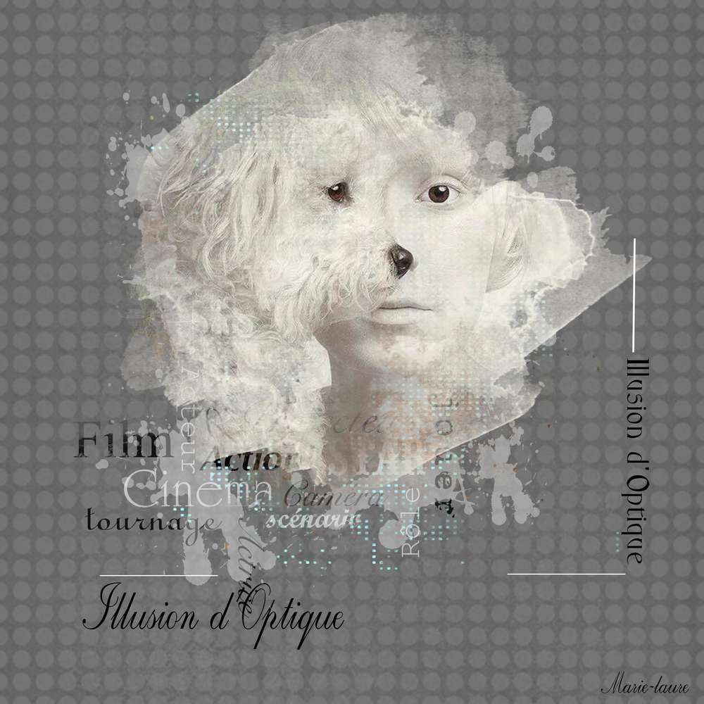 Illusion d'optique ...