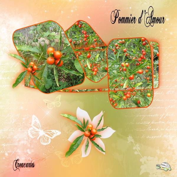 image sortant du cadre pour le défi de mamyrose